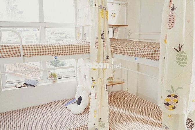 Ký túc xá Bình Thạnh giá rẻ ngay sát GTVT Hutech Hồng Bàng UEF MỚI 💯%