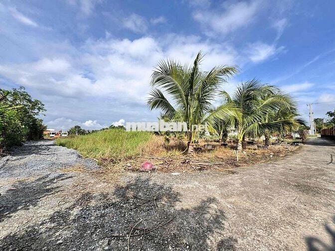 ĐẤT SÁT ỦY BAN XÃ ĐỨC HÒA ĐÔNG – GIÁ CHỈ 790 TRIỆU 🔥