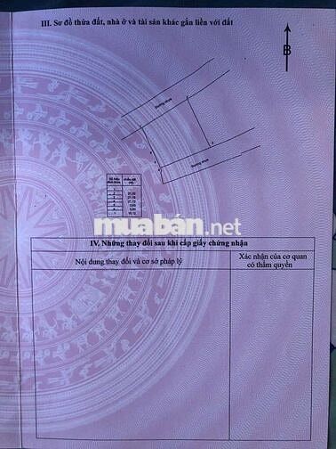 🌴 BÁN ĐẤT 2 MẶT TIỀN ĐƯỜNG NHỰA – XÃ LỘC AN, CÁCH BIỂN CHỈ 800M