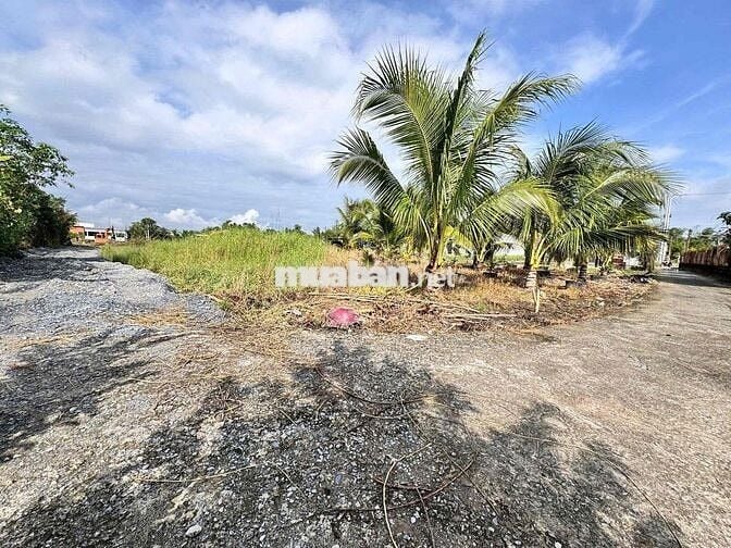 ĐẤT SÁT ỦY BAN XÃ ĐỨC HÒA ĐÔNG – GIÁ CHỈ 790 TRIỆU 🔥