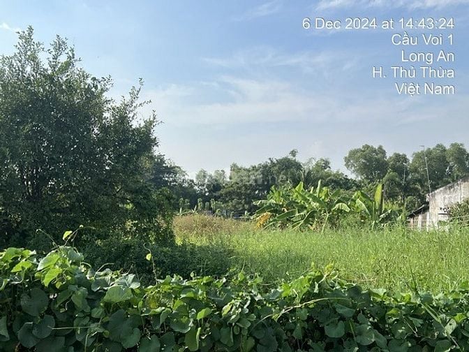 CÔNG TY ĐẤU GIÁ HỢP DANH MINH PHÁP THÔNG BÁO ĐẤU GIÁ TÀI SẢN