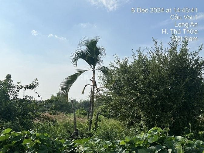 CÔNG TY ĐẤU GIÁ HỢP DANH MINH PHÁP THÔNG BÁO ĐẤU GIÁ TÀI SẢN