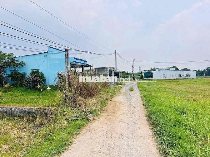 ĐẤT Ngộp Đức Hoà Sát CÔNG VIÊN VÕ VĂN TẦN