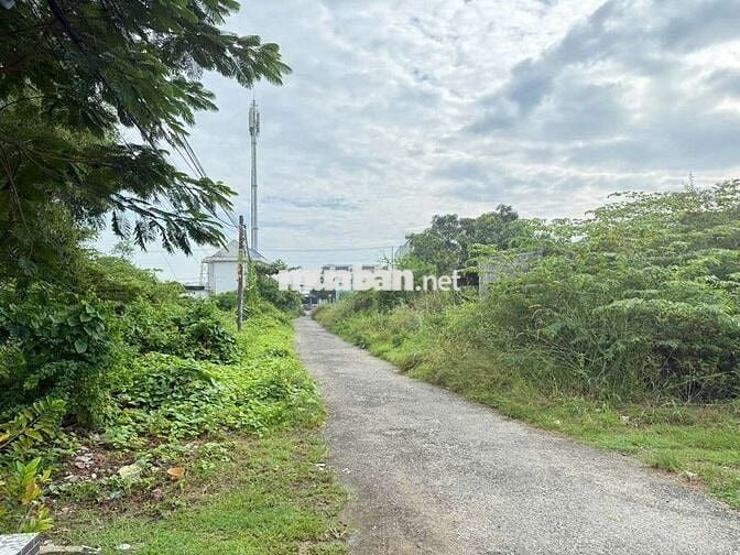 🌴 BÁN ĐẤT 2 MẶT TIỀN ĐƯỜNG NHỰA – XÃ LỘC AN, CÁCH BIỂN CHỈ 800M