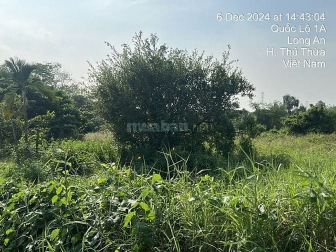 CÔNG TY ĐẤU GIÁ HỢP DANH MINH PHÁP THÔNG BÁO ĐẤU GIÁ TÀI SẢN