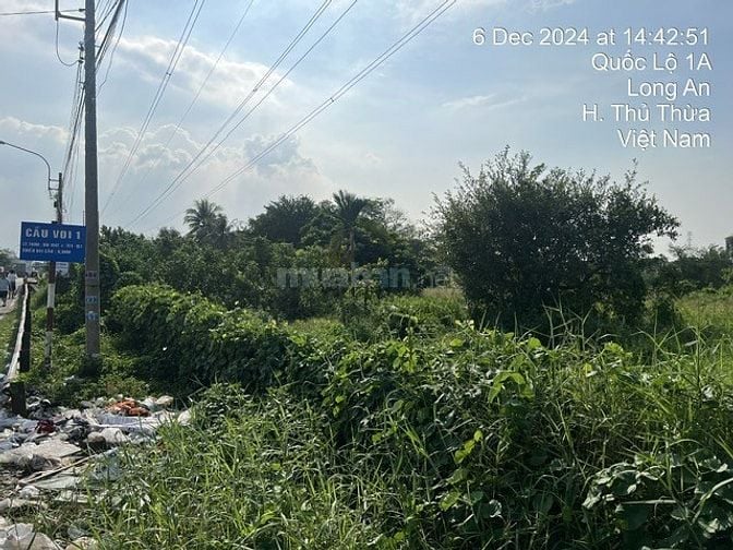 CÔNG TY ĐẤU GIÁ HỢP DANH MINH PHÁP THÔNG BÁO ĐẤU GIÁ TÀI SẢN