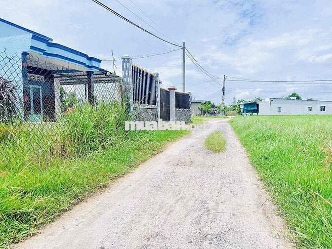 ĐẤT Ngộp Đức Hoà Sát CÔNG VIÊN VÕ VĂN TẦN