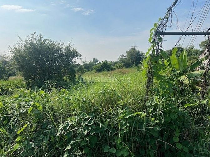 CÔNG TY ĐẤU GIÁ HỢP DANH MINH PHÁP THÔNG BÁO ĐẤU GIÁ TÀI SẢN