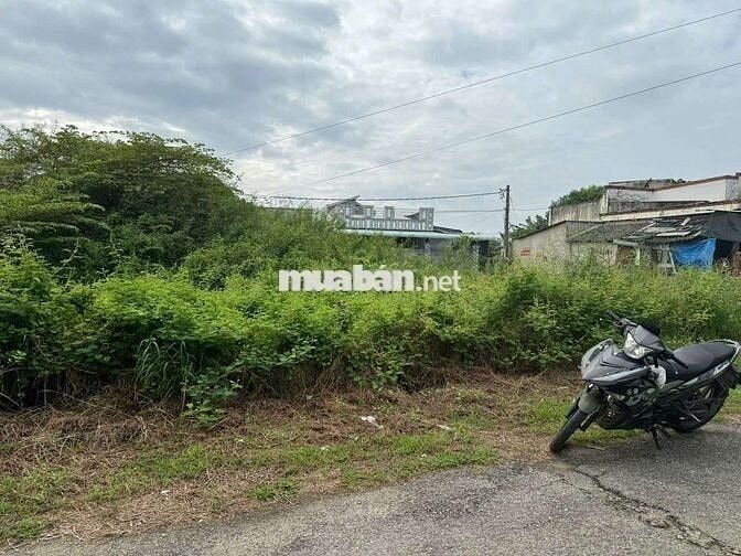 🌴 BÁN ĐẤT 2 MẶT TIỀN ĐƯỜNG NHỰA – XÃ LỘC AN, CÁCH BIỂN CHỈ 800M