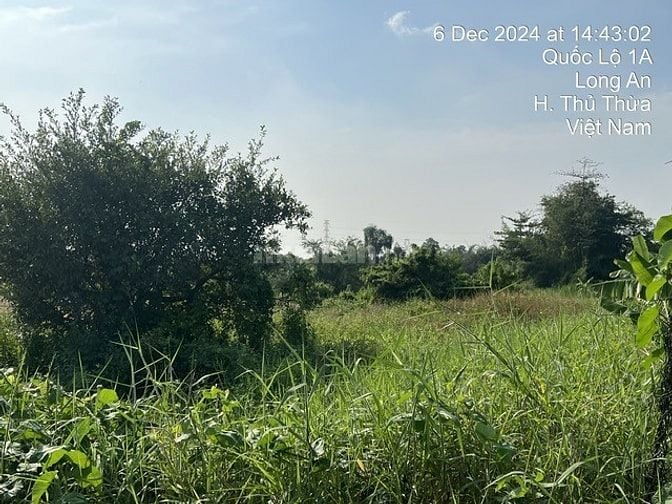 CÔNG TY ĐẤU GIÁ HỢP DANH MINH PHÁP THÔNG BÁO ĐẤU GIÁ TÀI SẢN