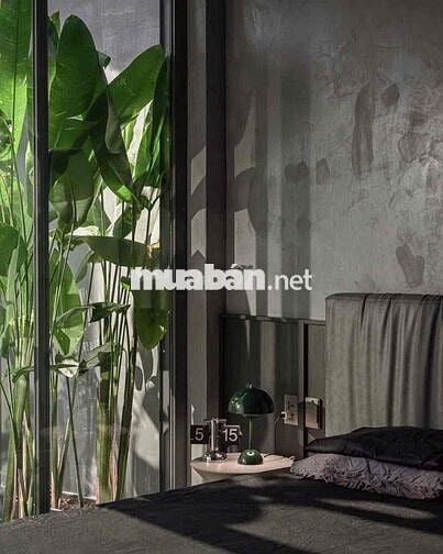 Nhà Y Hình Đẹp DT 5x25 1Trệt 1Lầu 2Pn 3Wc Sân Ôtô Hẻm Nhựa Thoáng 12M