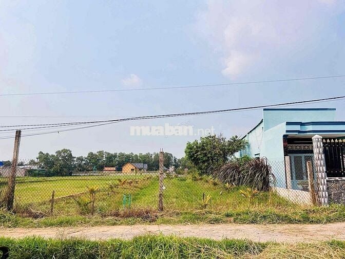 ĐẤT Ngộp Đức Hoà Sát CÔNG VIÊN VÕ VĂN TẦN