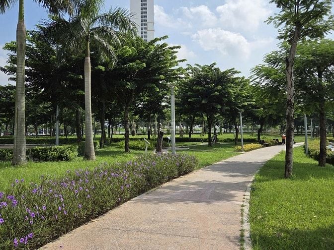 CC Bán biệt thự Dương Nội - Rẻ hơn Chủ đầu tư 10 tỷ - Gần Công Viên