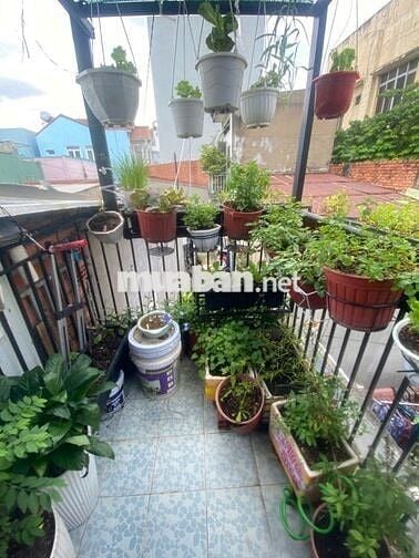 Nhà Thị Trấn Hóc Môn Chỉ 1,55 tỷ SHR DTSD tới 55,4m2. Bán Gấp 7 ngày !