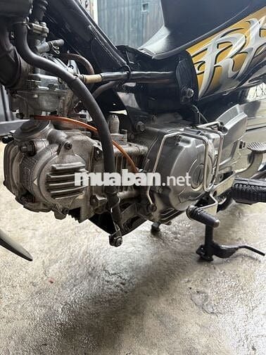 Sirus 2010 Zin Cọp 1 Đời Chủ Biển TP 4 Số