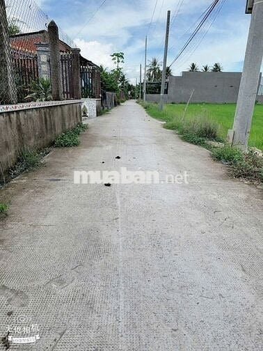 CẦN BÁN GẤP LÔ ĐẤT  - TẠI ẤP 8, XÃ NHỰT CHÁNH, BẾN LỨC, LONG AN