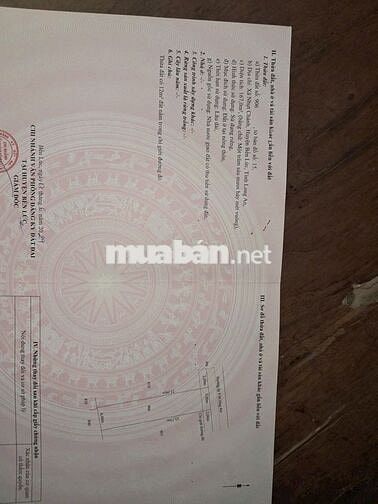 CẦN BÁN GẤP LÔ ĐẤT  - TẠI ẤP 8, XÃ NHỰT CHÁNH, BẾN LỨC, LONG AN