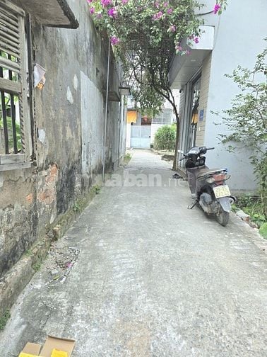 Hoa Hậu Thôn Nội Xã Hoài Đức - HN