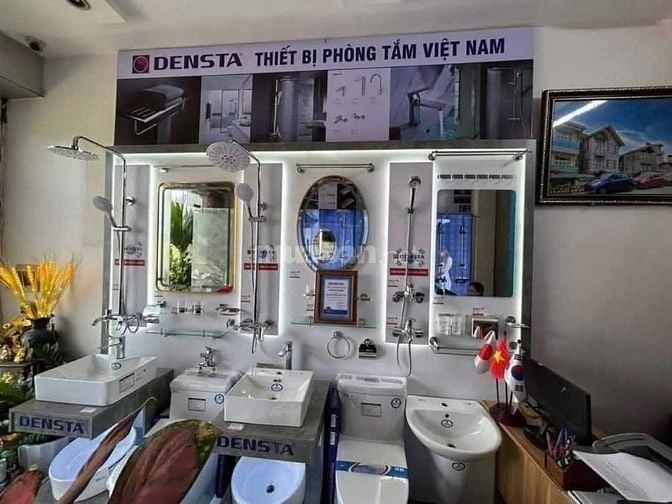  🔥 ĐẶC BIỆT – Ưu đãi dành riêng cho sen cây chỉ duy nhất ngày 11/11/2