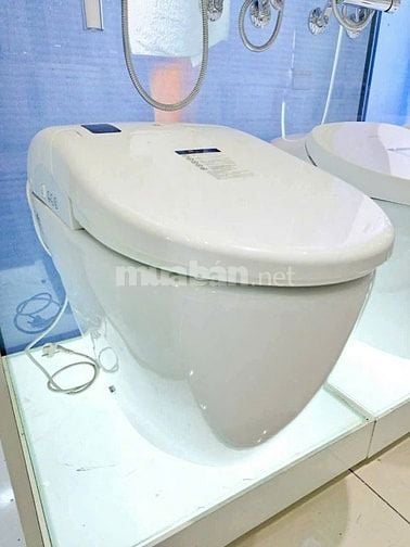  🔥 ĐẶC BIỆT – Ưu đãi dành riêng cho sen cây chỉ duy nhất ngày 11/11/2