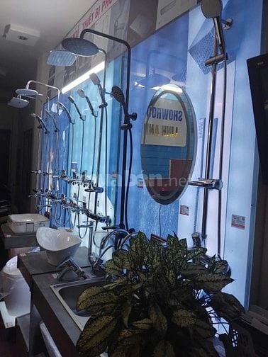  🔥 ĐẶC BIỆT – Ưu đãi dành riêng cho sen cây chỉ duy nhất ngày 11/11/2