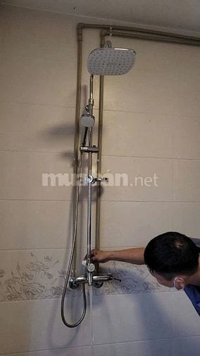  🔥 ĐẶC BIỆT – Ưu đãi dành riêng cho sen cây chỉ duy nhất ngày 11/11/2