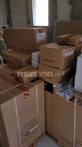  🔥 ĐẶC BIỆT – Ưu đãi dành riêng cho sen cây chỉ duy nhất ngày 11/11/2