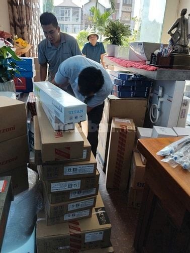  🔥 ĐẶC BIỆT – Ưu đãi dành riêng cho sen cây chỉ duy nhất ngày 11/11/2