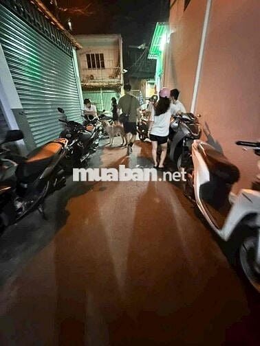 Thuê nhà nguyên căn Gò Vấp ở liền