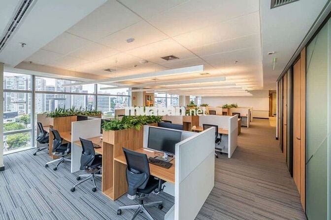 CHO THUÊ TÒA NHÀ VĂN PHÒNG ĐƯỜNG ĐẶNG VĂN SÂM P2, Q. TÂN BÌNH, TP.HCM