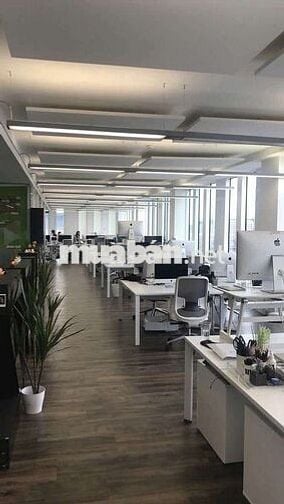 CHO THUÊ TÒA NHÀ VĂN PHÒNG ĐƯỜNG ĐẶNG VĂN SÂM P2, Q. TÂN BÌNH, TP.HCM