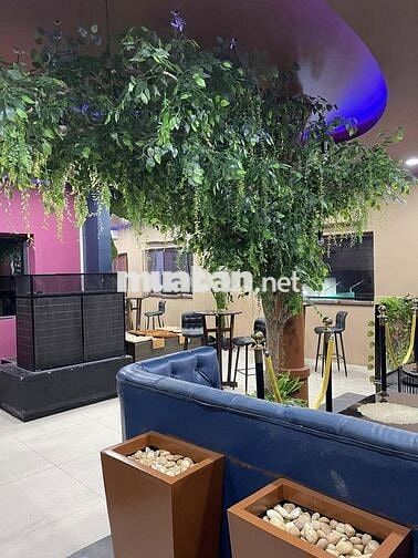 CHO THUÊ NHÀ MẶT TIỀN ĐƯỜNG BÙI VIỆN – TRUNG TÂM PHỐ TÂY, QUẬN 1 🌆