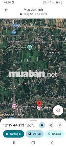 600tr 1200m2 lộ nhựa Lê Thị Lệ Chi (cách 60m) Chợ Gạo Tiền Giang