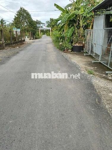 600tr 1200m2 lộ nhựa Lê Thị Lệ Chi (cách 60m) Chợ Gạo Tiền Giang