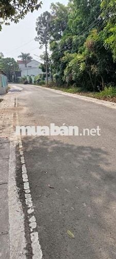 BÁN LÔ ĐẤT 5X25 THỔ CƯ ĐƯONG 7M ĐUONG THẠNH AN 07 P THẠNH AN