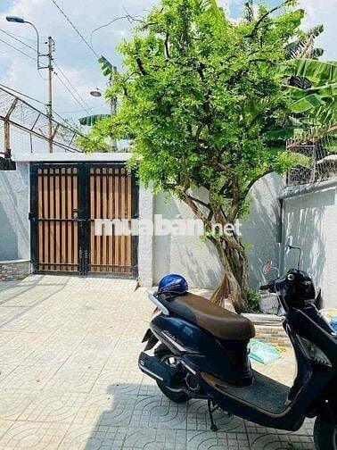 Nhà cho thuê nguyên căn sân vườn khu Cư Xá Điện Lực