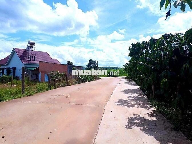 CHÍNH CHỦ CẦN BÁN ĐẤT VIÊ HỒ TỪ LIÊM _ NAM BAN _ VEN ĐÀ LẠT