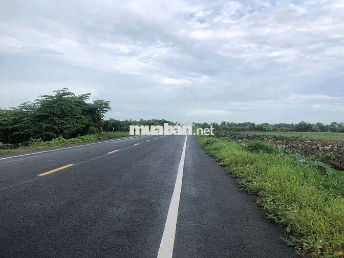 Mặt tiền tỉnh lộ 922 Thới Lai 1.000m2 (29x38)