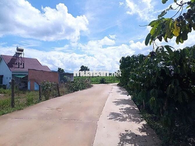 CHÍNH CHỦ CẦN BÁN ĐẤT VIÊ HỒ TỪ LIÊM _ NAM BAN _ VEN ĐÀ LẠT