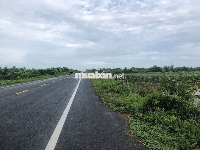 Mặt tiền tỉnh lộ 922 Thới Lai 1.000m2 (29x38)