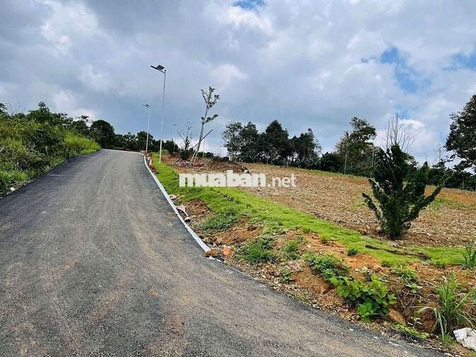 Bán lô đất vườn cafe + trái cây nguồn thu ổn định ven Đà Lạt