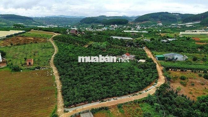 CHÍNH CHỦ CẦN BÁN ĐẤT VIÊ HỒ TỪ LIÊM _ NAM BAN _ VEN ĐÀ LẠT