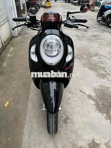 2021 xe đep may zin xe đung chủ