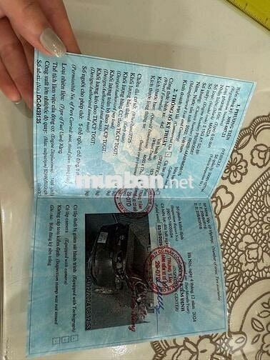 Mazda 3 2022 Tôi không rõ