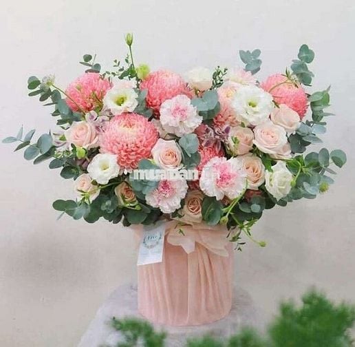 BÁN ĐẤT MẶT TIỀN HẺM 535 THỐNG NHẤT, GÒ VẤP – SỔ MỚI 2025 🌈