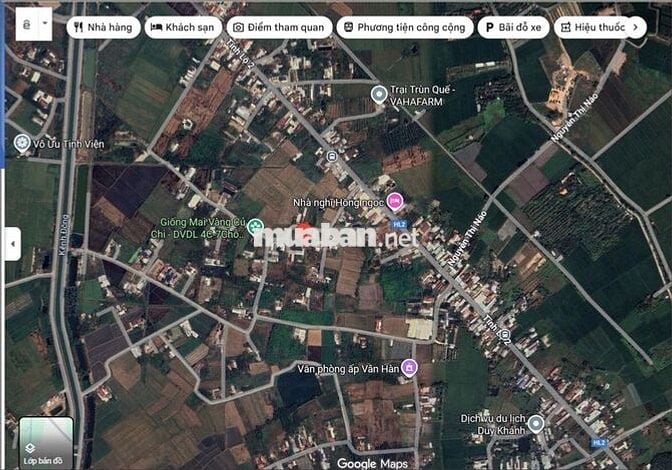 Bán gấp 2750 m2 xã Trung Lập Thượng, Củ Chi, Tp.HCM 8,9 tỷ có thổ cư