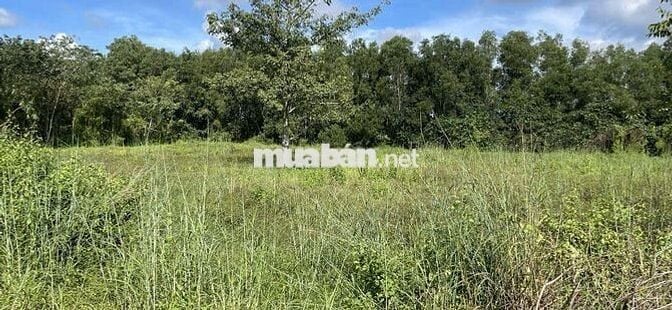 Mặt Tiền Số 75 Nguyễ Thị Dạng, Xã Nhuận Đức TPHCM