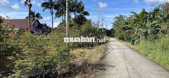 Mặt Tiền Số 75 Nguyễ Thị Dạng, Xã Nhuận Đức TPHCM