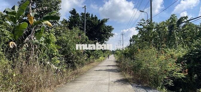 Mặt Tiền Số 75 Nguyễ Thị Dạng, Xã Nhuận Đức TPHCM