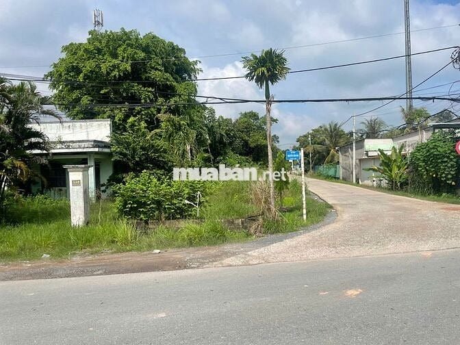 ĐẤT MẶT TIỀN CÂY TRÔM MỸ KHÁNH CHỈ 6TR/M2 -SHR - ĐẦU TƯ SIÊU LỢI NHUẬN